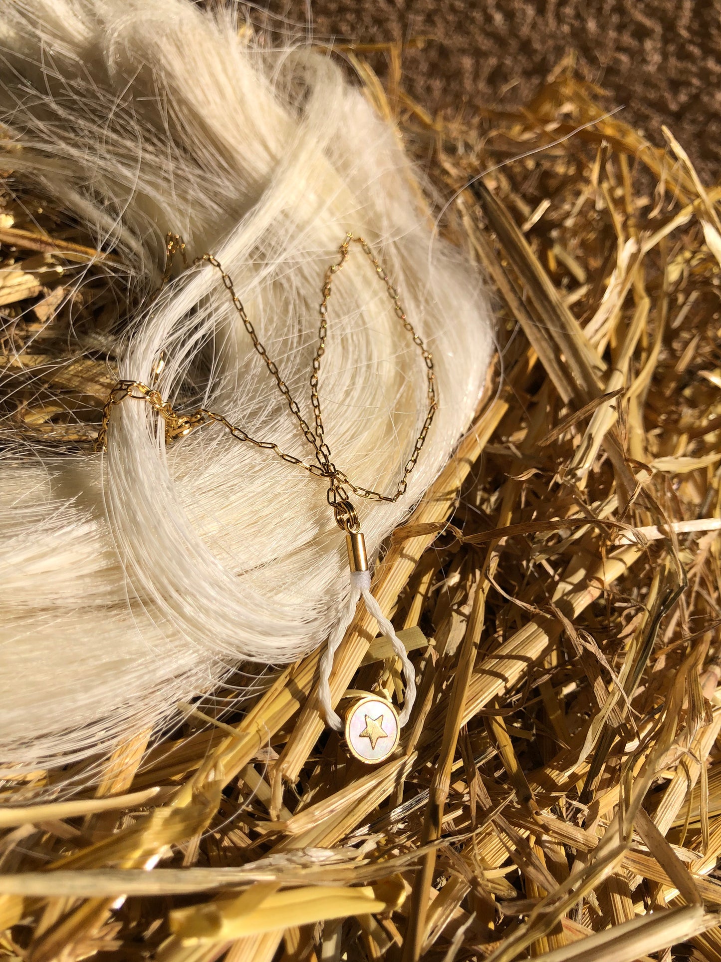 pendentif crin de cheval acier inoxydable doré avec sa chaine et sa perle de nacre étoilée